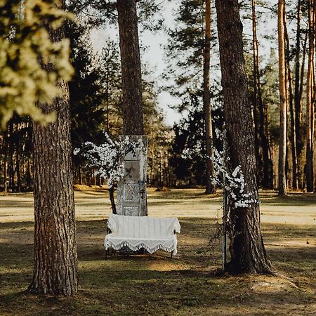 Chutor Nad Narwia Panzió Ploski Kültér fotó