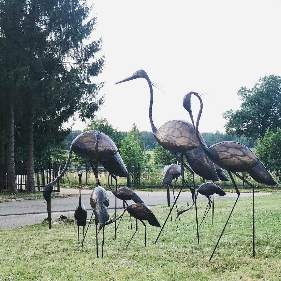 Chutor Nad Narwia Panzió Ploski Kültér fotó